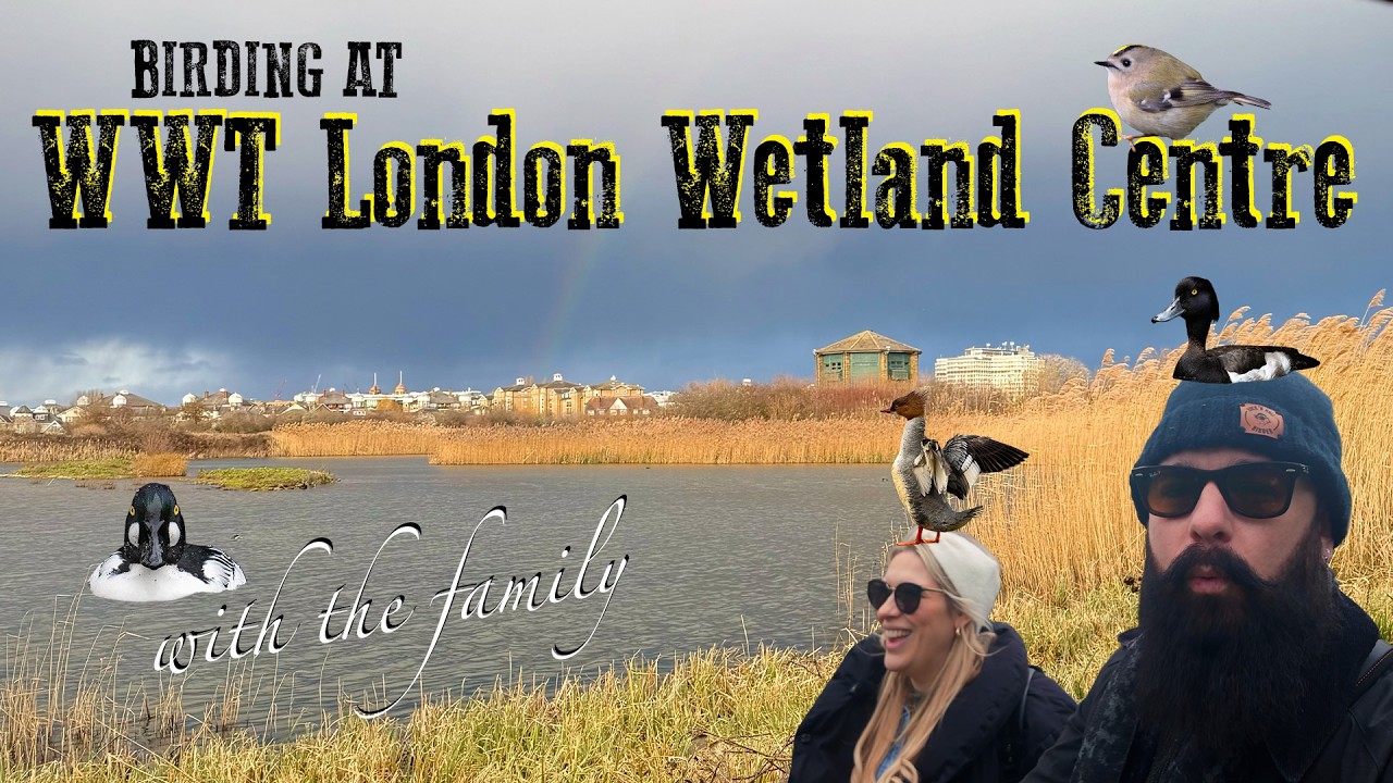 Наблюдение за птицами в Лондонском центре водно-болотных угодий WWT с семьей.