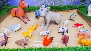 Two Big Farm Animal Horse Reindeer Wild Shark Whale Panda Crab Sea Animals Stuck in Sandbox