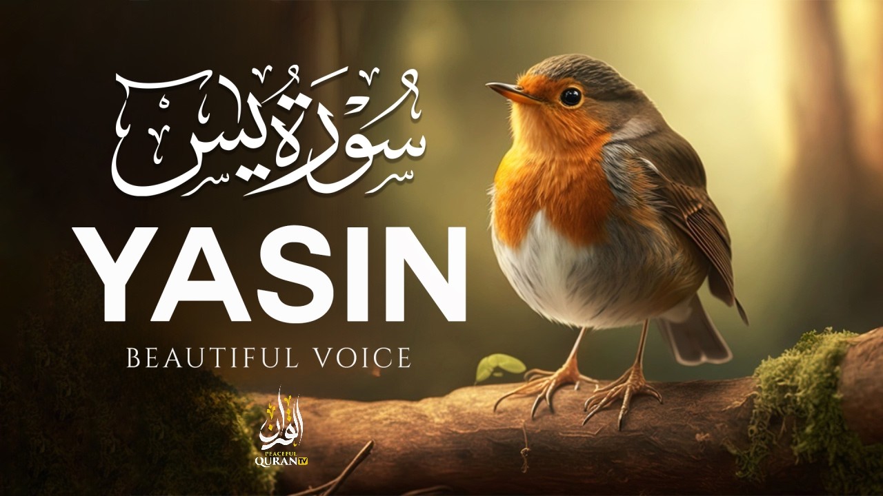 Surah Yasin (Yaseen) for Healing | Relieve Stress, Depression & Anxiety | سورة يس  #lofiquran