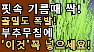 구멍 난 뼈 꽉 채우고 손발 저림 사라지는 '천연 혈액 정화제' 명품 부추무침