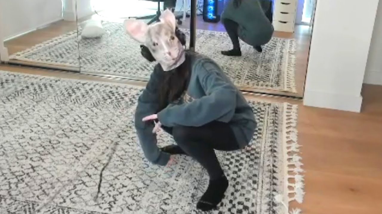 Nyanners appears on camera again..