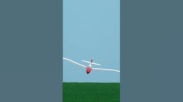 Goppingen Go 3 Minimoa | LANDING CRASH | 3,6m scale RC glider #rcglider #rccrash #aviationcz