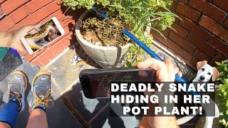 DEADLY SNAKE in her plants?!