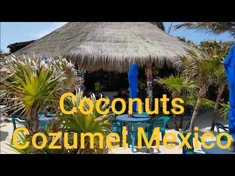 Coconuts Cozumel Mexico