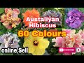 Austaliyan Hibiscus 60 variety colours . online sell. part - 1 #flowers #plants #garden