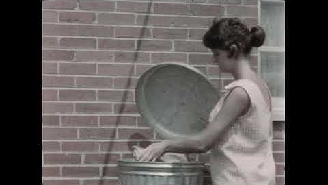 Insect Enemies And Their Control (1962)