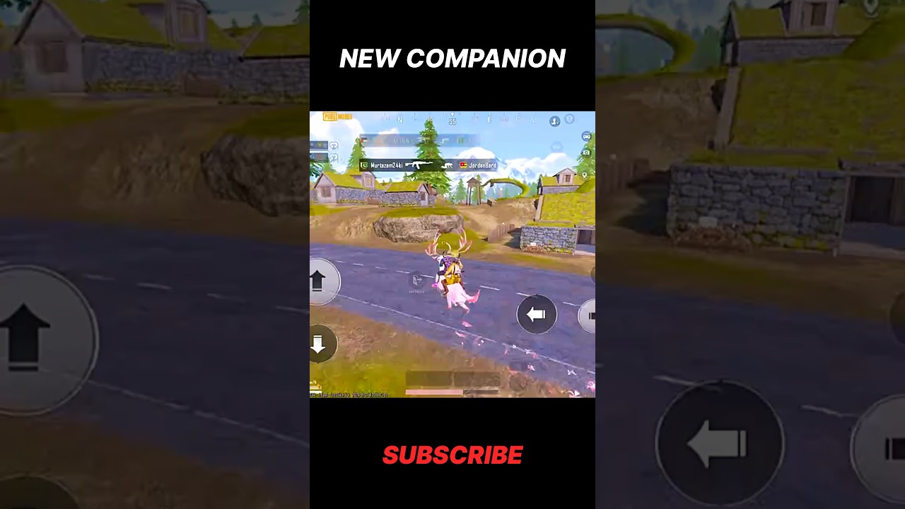 BARKLE COMPANION FEATURES 😱✅