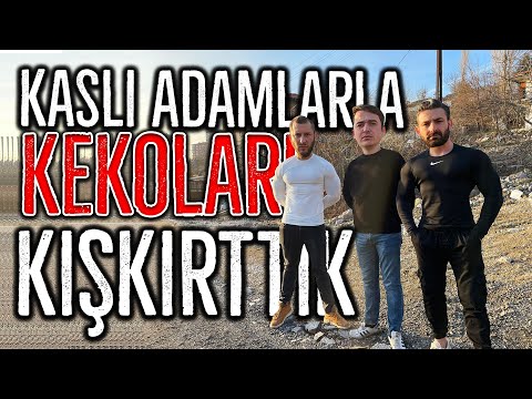 KASLI ADAMLARLA KEKOLARI KIŞKIRTMAK!  #2 – ( KEKOLARA CEZA VERDİK! )