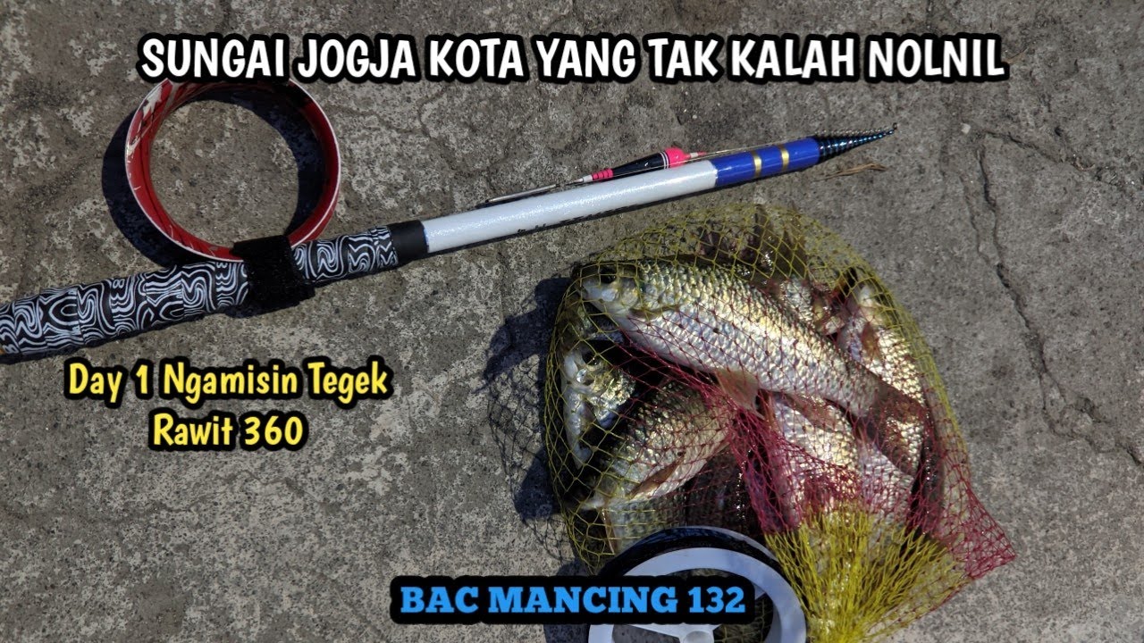 SPOT MANCING JOGJA KOTA SURGA IKAN