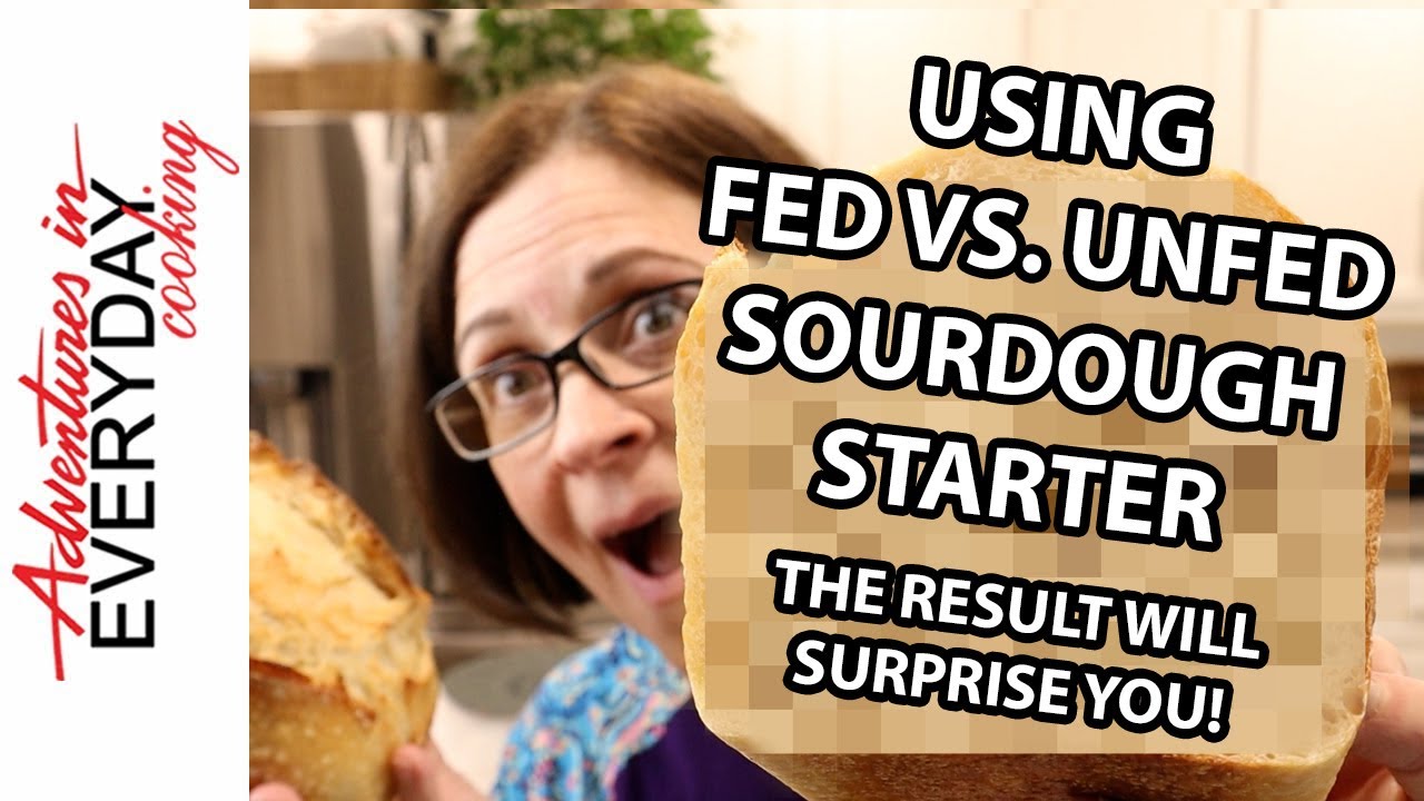 Fed vs. Unfed Sourdough Starter – The Surprising Bread Showdown