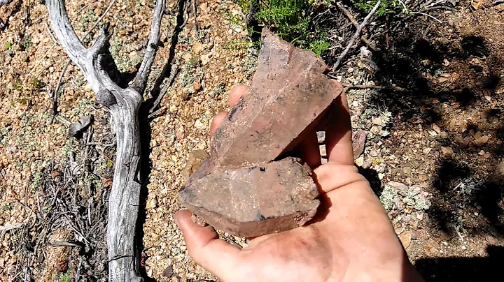 Smoky Quartz Pocket Found in the Colorado Mountains!