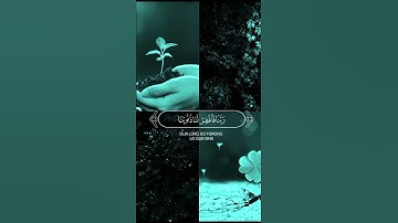 محمد اللحيدان | تلاوة من سورة آل عمران | 🥀🤍