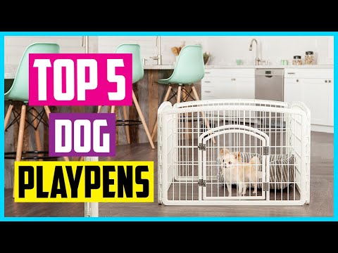 Video: Best Dog Playpens in Exercise Pens za notranjo in zunanjo