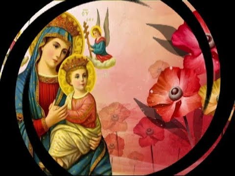 Video Ngày Thứ Sáu-Tuần Cửu Nhật Kính Đức Mẹ HCG: tội con đã... - youtube
