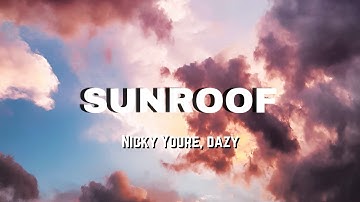 Nicky Youre, dazy - Sunroof | LYRICS VIDEO