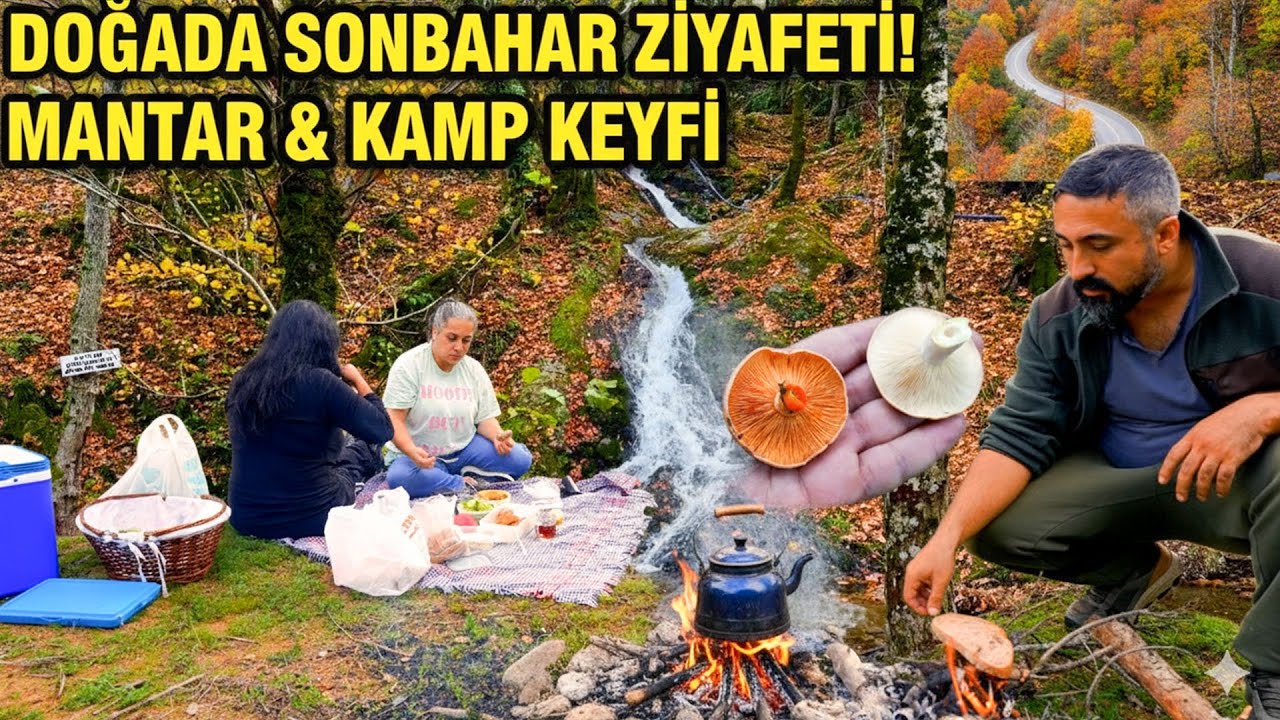 Doğada Mantar Bulmak Bu Kadar Kolay mı? (Kaz Dağları Melki Avı)