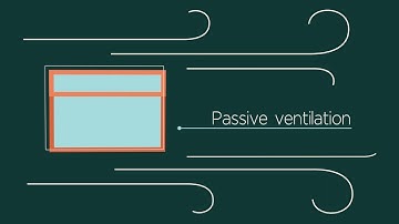 Reduce the Impact of Condensation in Your Home | First Windows & Doors