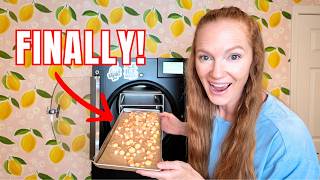 The BEST Candy to Freeze Dry for FALL 🍂