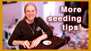 IS IT TOO LATE? Seeding TIPS + February Seedling Update