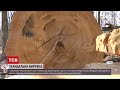 Новини України: що сталося з дубами-велетнями у Голосіївському парку столиці