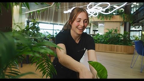 We create green spaces where people thrive