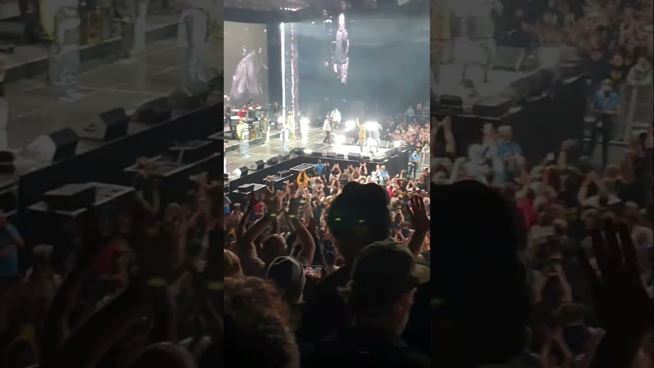 Wu-Tang Clan / The Final Chamber. Live in Köln.        Triumph. German Wu Tang Fans are the best. Zu