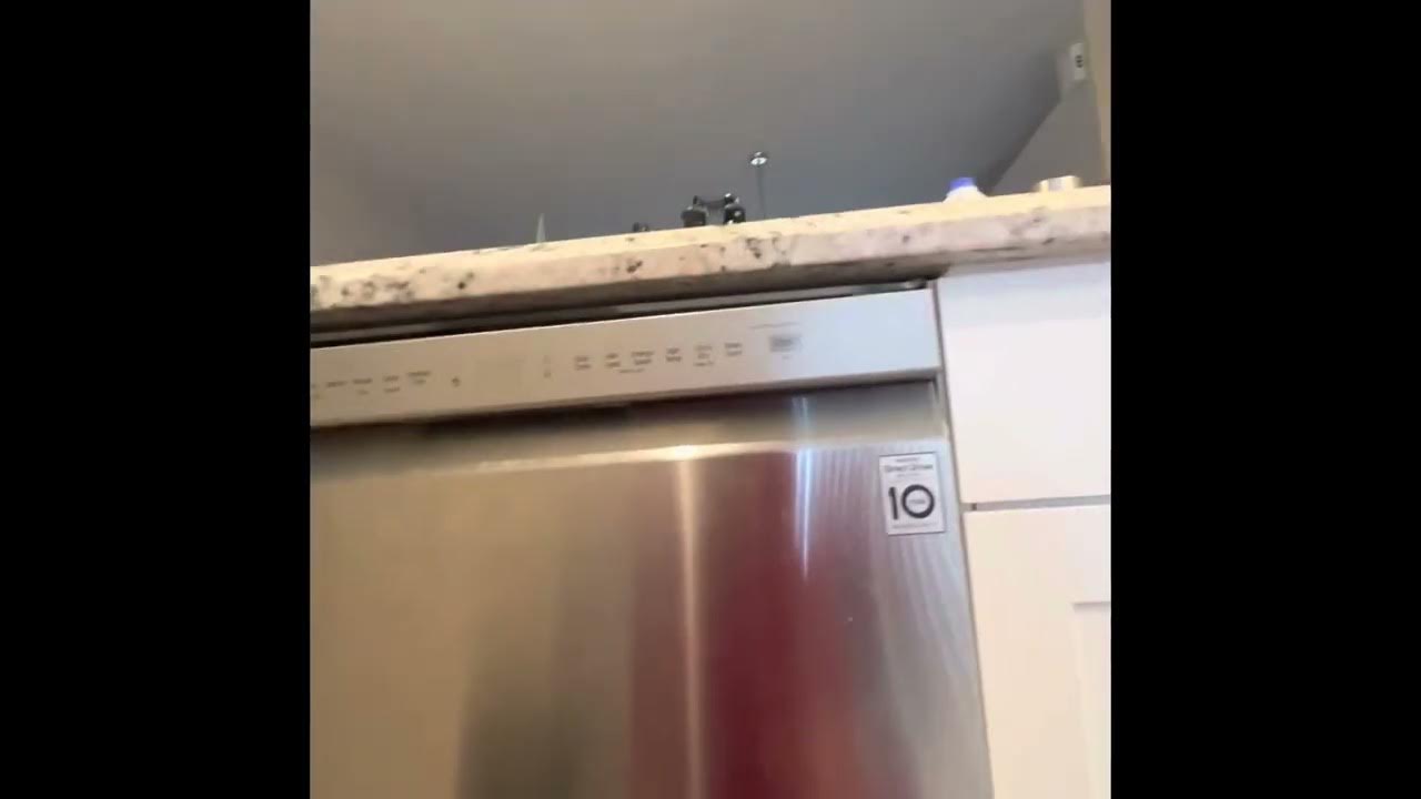 LG Diswasher Test Mode model ldf5545st YouTube