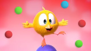 The Juggler | Where's Chicky? | Cartoon Collection In English For Kids | New Episodes