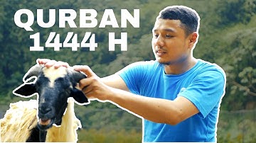 QURBAN FIWA IDUL ADHA 1444 H Cinematic Video