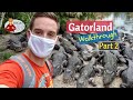 Gatorland Orlando Walkthrough - Part 2 - including feeding an alligator!!!