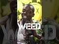BOBBY SHMURDA  FIRES ASSISTANT FOR SMOKING ALL THE WEED #shorts #drinkchamps