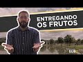 [SUB12] ENTREGANDO OS FRUTOS - Luciano Subirá