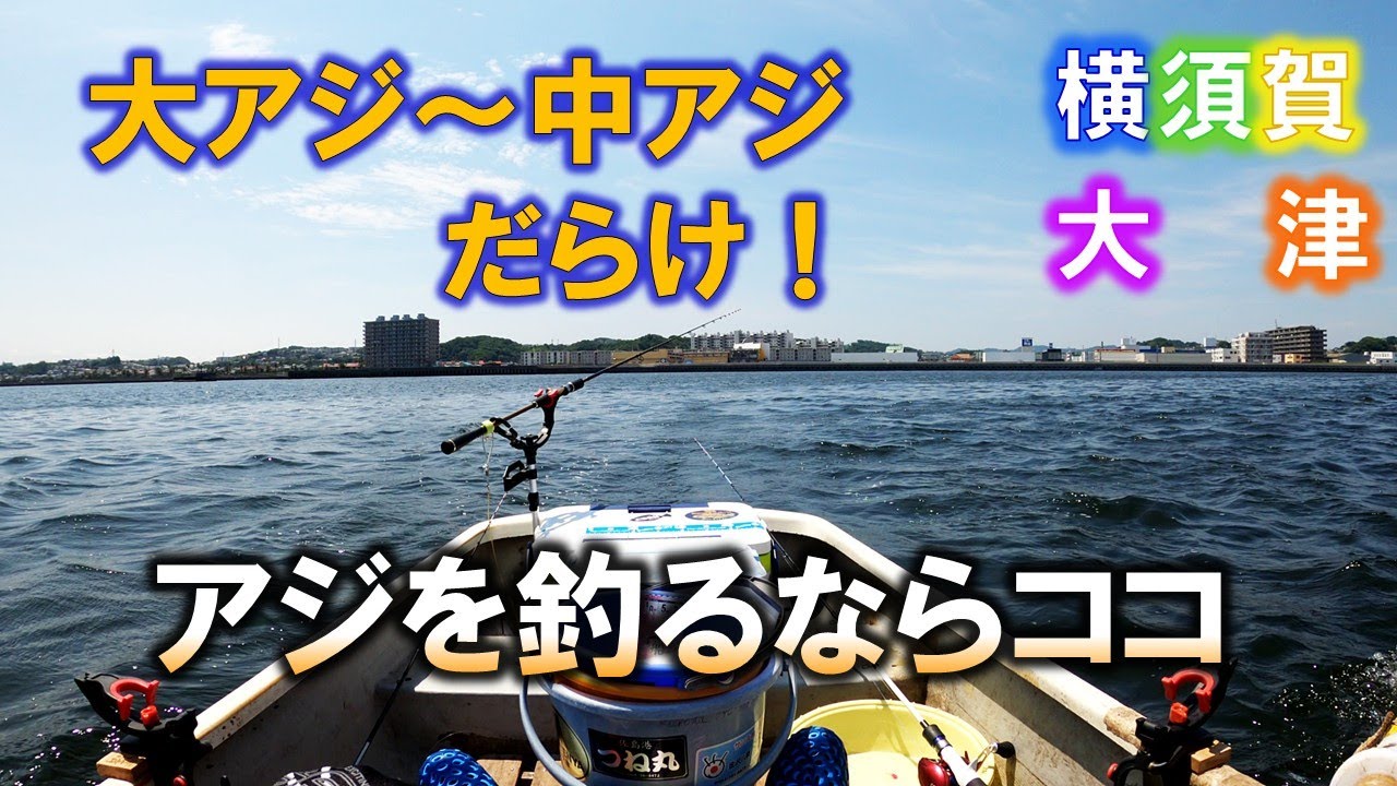 【手漕ぎボート釣り】天秤エサ釣りでタチウオを狙う。超近場の良型アジポイントを見つけたのでこっそり教えます。横須賀大津港。石田丸2025/6/30