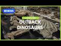 Unearthing outback Australia's dinosaur past | Landline | ABC News