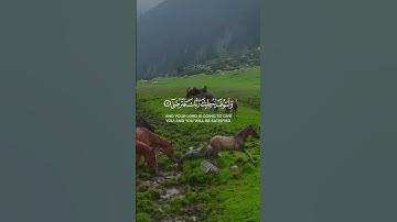 قران #القارئ_ماهر_المعيقلي #سورة_الضحى
