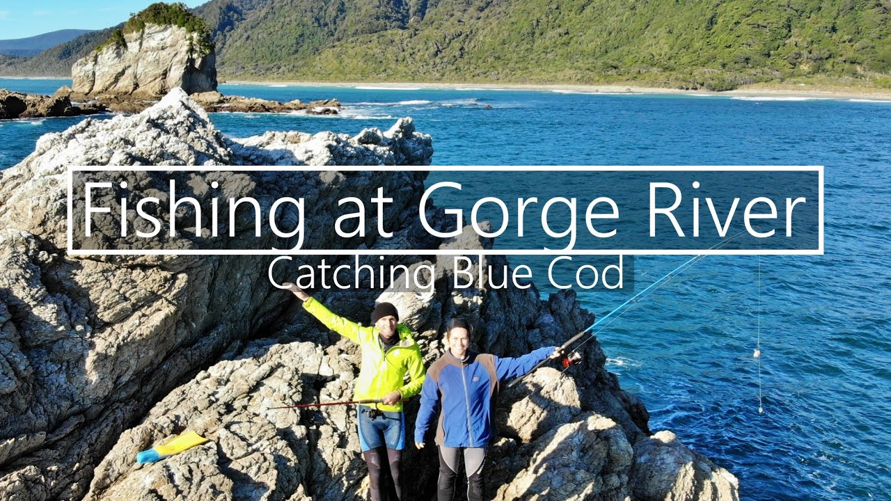 Fishing at Gorge River - Catching Blue Cod at Gorge Islands