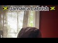 Jamaica fathers day