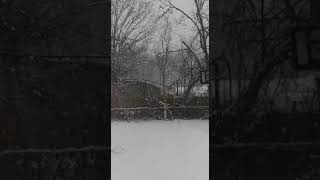 Olivia En Michigan Cayendo Nieve