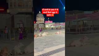 Karni mata temple bikaner #deshnok #karnimataofficial #karnimata #karni #hindutemple #love #gaumata