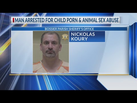 Bossier City man jailed on child porn, animal sex abuse charges