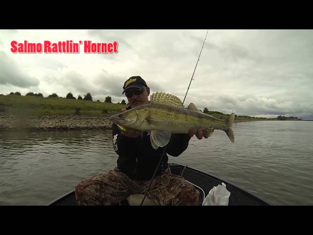 Salmo Rattlin Hornet 