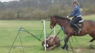 Noddy...... Whaaaaaa Spider