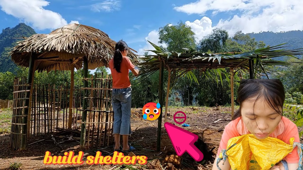 The girl survives alone, building a new shelter (Bamboo house) - YouTube
