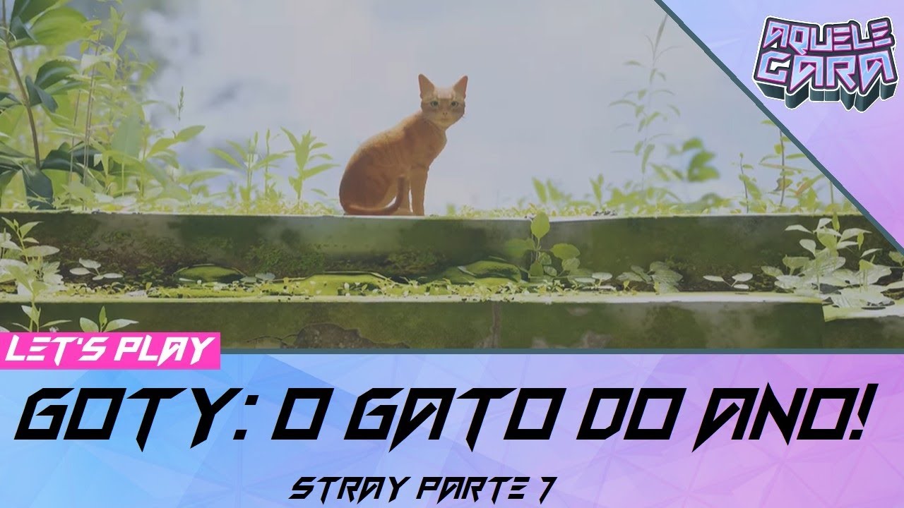 Controle um gato de rua em Stray, já disponível para PC e PlayStation