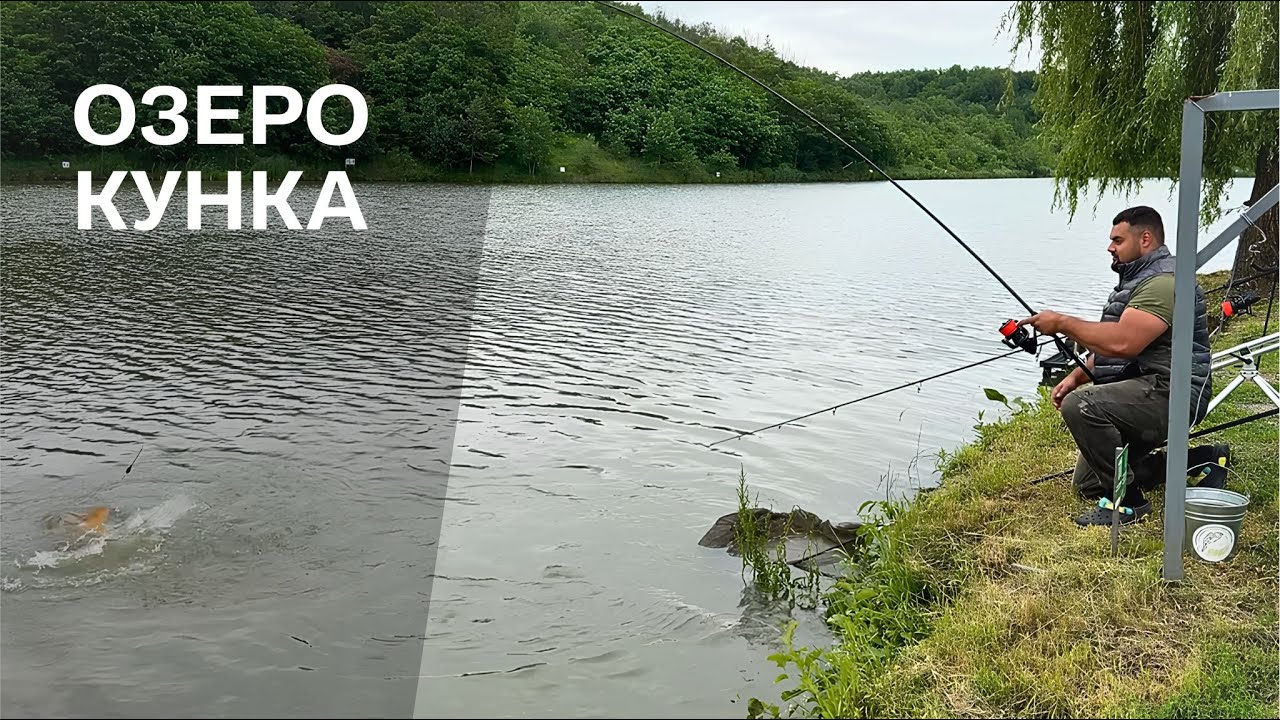 Карп фішинг на чарівному озері Кунка / Трудова риба 🐟 / Та гарний відпочинок