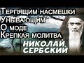 Терпящим насмешки. Унывающим. О моде. О крепкой молитве. Николай Сербский