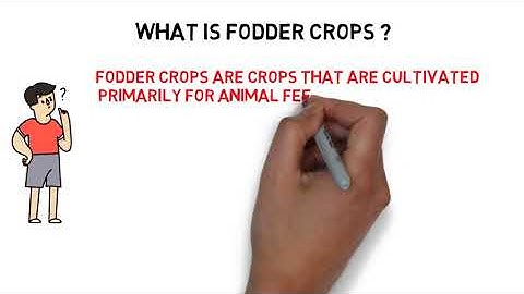 Introduction and Types of Fodder crops/ 2022