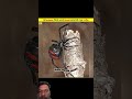 3 Aise Animal Jiske Pass Sikar pakarne ki Gajab Technique #animals #youtube #bbfacts #facts #viral