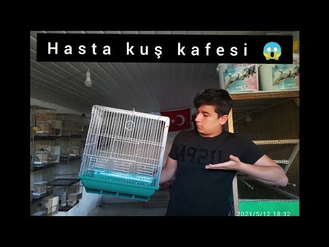 HASTA KUŞ KAFESİ 😑NASIL OLMALI ?😱(İstenen Video)
