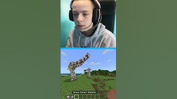 MUTANT IRON GOLEM VS MUTANT SKELETON